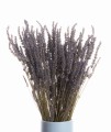 Suszona lawenda bukiet