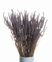 Suszona lawenda bukiet 80g - suszone kwiaty