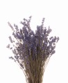Bukiet lawendy suszone