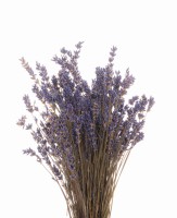 Suszona lawenda bukiet 40g - suszone kwiaty