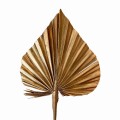 Suszony liść palmowy stare złoto - strzałka