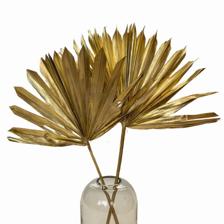 Suszony liść palmy złoty - palm sun