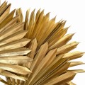 Suszony liść palmy złoty - palm sun