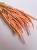 Phleum (tymotka) różowe