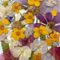 Suszone kwiaty prasowane