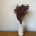 IMG_5521.jpeg