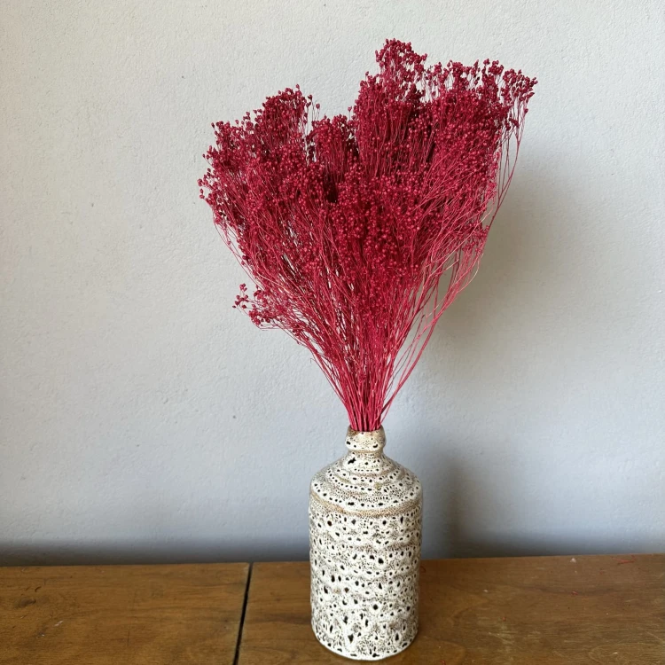 Broom Bloom bordowy