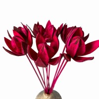 Dried fuchsia lily - dried flowers