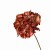 Hortensja suszona rose gold