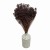 Suszony Broom Bloom brązowy