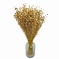 Suszony len złoty - bukiet 80g - suszone kwiaty