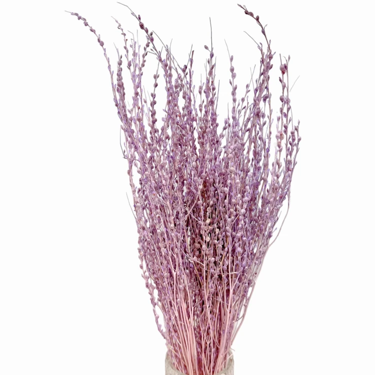 Lepidium suszone jasnofioletowe (pieprznica)