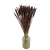 Suszone Phleum (tymotka) brązowe 100g - suszone trawy
