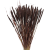 Suszone Phleum (tymotka) brązowe 100g - suszone trawy