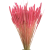 Suszone Phleum (tymotka) różowe 100g - suszone trawy