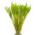 Suszone Phleum (tymotka) zielone 100g - suszone trawy