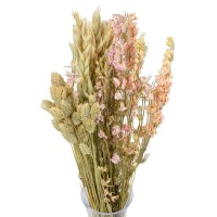 Dried flowers bouquet Delphinium size S