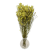 Limonium suszone żółte - suszone kwiaty - bukiet