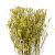 Limonium suszone żółte - suszone kwiaty - bukiet