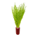 Lepidium suszone jasnozielone (pieprznica) - bukiet