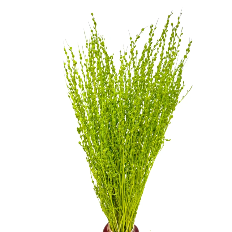 Lepidium suszone jasnozielone (pieprznica) - bukiet