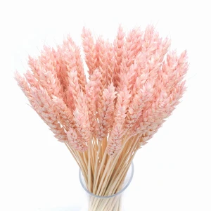 Dried light pink wheat 60 pcs.