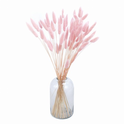 Lagurus suszony jasnoróżowy (baby pink) - dmuszek jajowaty - 70 szt
