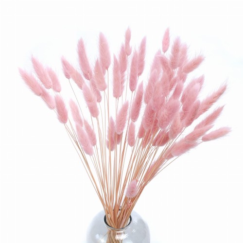 Lagurus suszony jasnoróżowy (baby pink) - dmuszek jajowaty - 70 szt