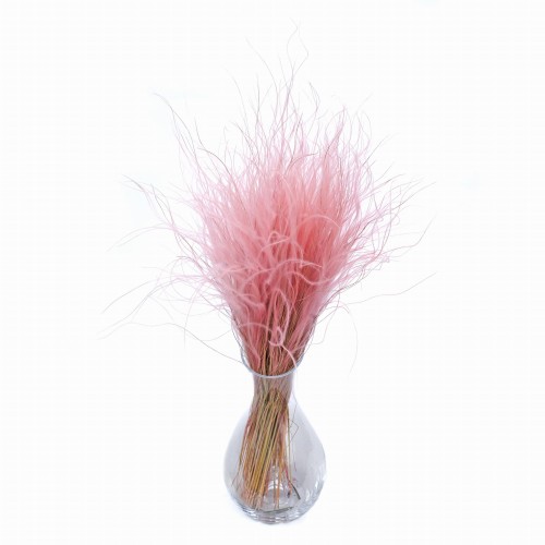 Stipa Pennata jasnoróżowa 50 g - ostnica piórkowa - suszone trawy