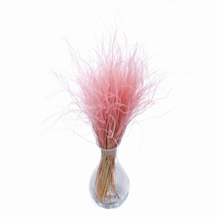 Stipa Pennata jasnoróżowa 50 g - ostnica piórkowa - suszone trawy