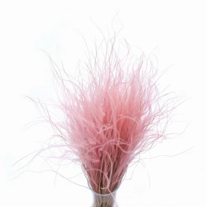 Stipa Pennata  jasnoróżowa 50g - ostnica, suszone trawy