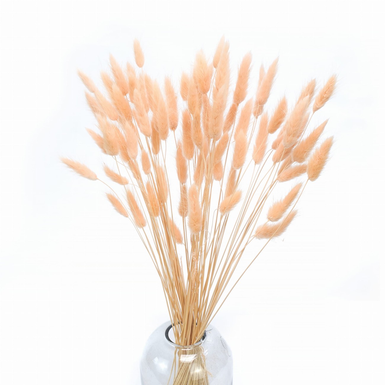 Lagurus dried peach fuzz 50g, approx. 70 pcs.