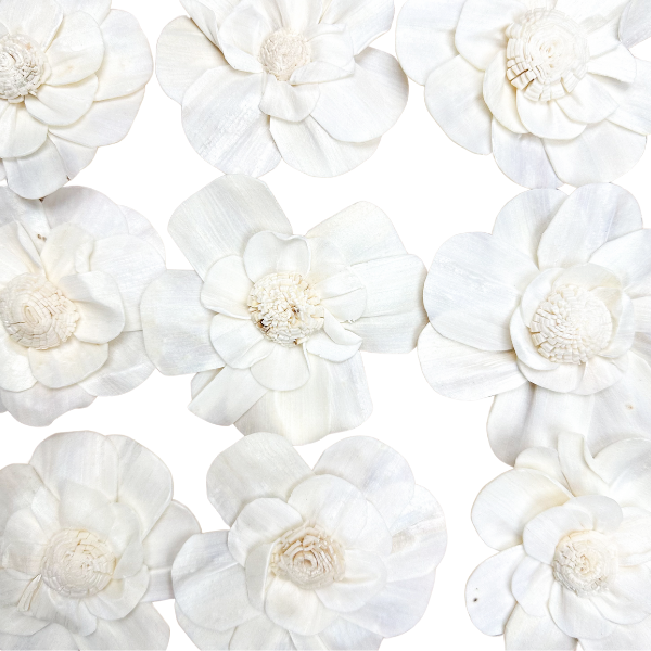 Kwiat shola - stokrotka biała  6cm