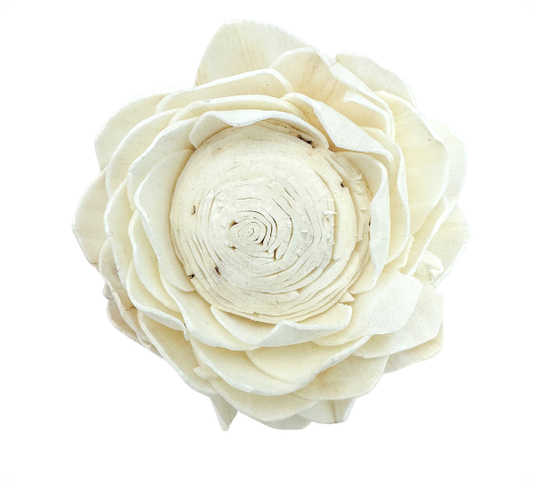 Kwiat shola - lotos biały  6 cm