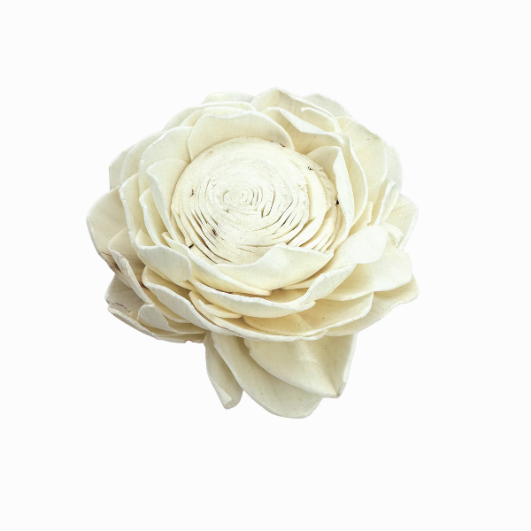 Kwiat shola - biały lotos 8cm