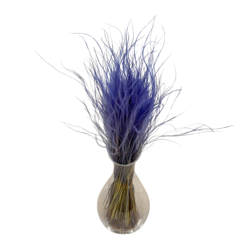Stipa Pennata fioletowa 50g - ostnica, suszone trawy