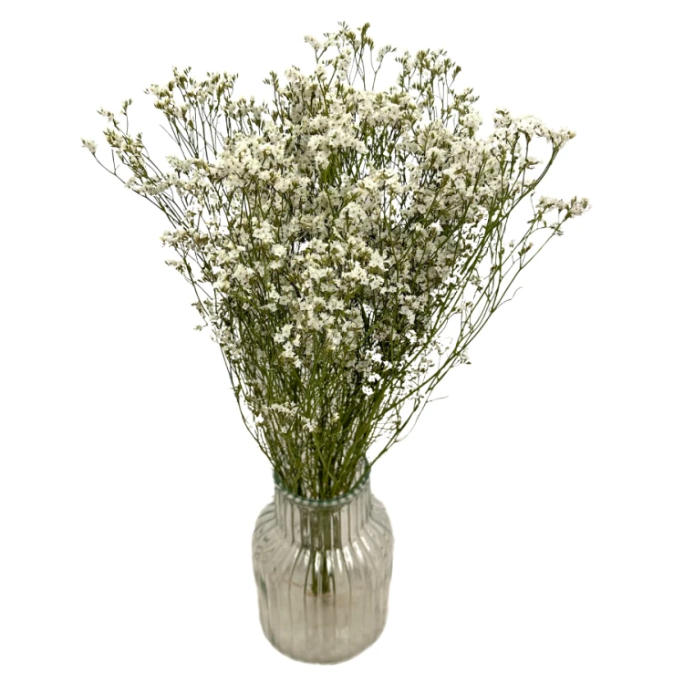 Limonium suszone białe 5 szt. bukiet