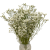 Limonium suszone białe 5 szt. bukiet