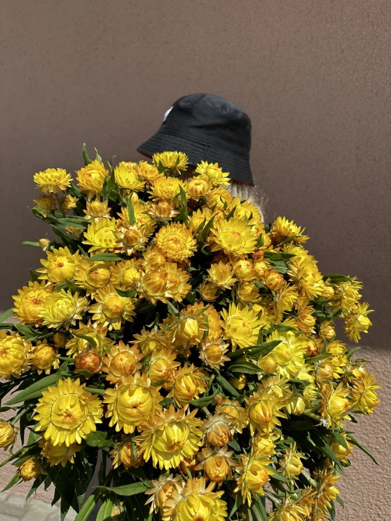 Suszona kocanka żółta (Helichrysum) 100g - bukiet