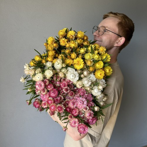 Suszona kocanka różowa (Helichrysum) 100g - bukiet