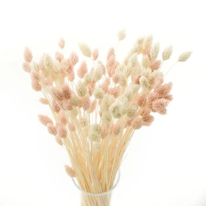 Dried grasses bouquet phalaris light pinka & phalaris bleached