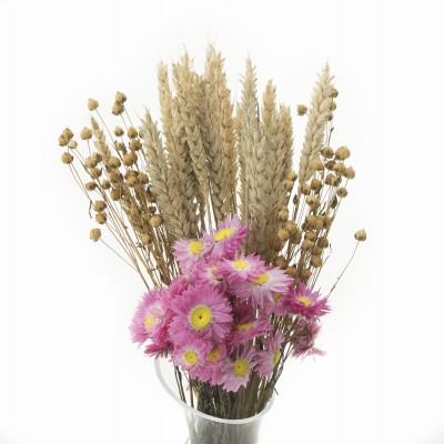 Dried flowers bouquet  Acroclinium size S - flax, acroclinium, wheat
