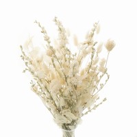 Dried flowers bouquet Cream - delphinium, lagurus, lunaria