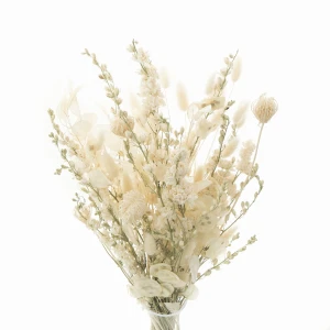 Bukiet suszonych kwiatów do wazonu Cream - ostróżka, lunaria, fenkuł