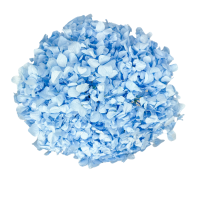 Preserved hydrangea light blue