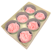 Preserved garde rose light pink - 6 pcs.