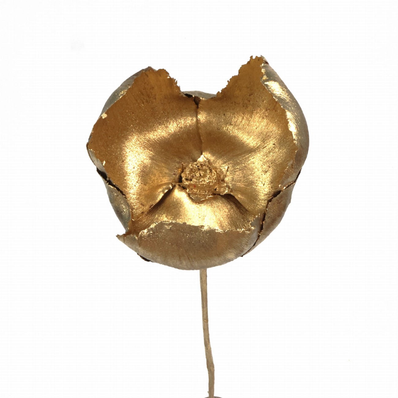 Walnut flower - palm cup- gold