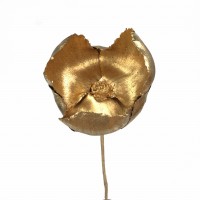 Walnut flower - palm cup- gold