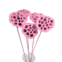 Lotus flower light pink 3pcs.