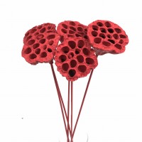 Lotus flower red 3pcs.